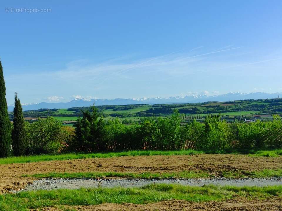 Terrain à MONTFERRAND