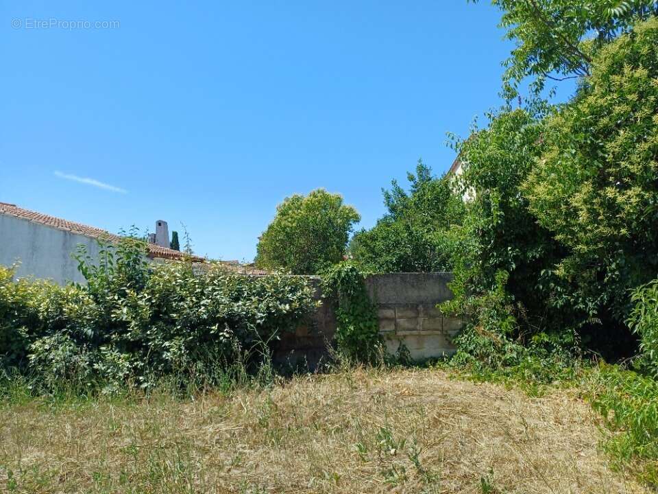 Terrain à LA CRAU