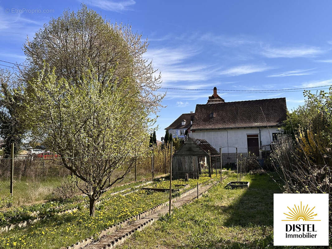 Maison à VENDENHEIM