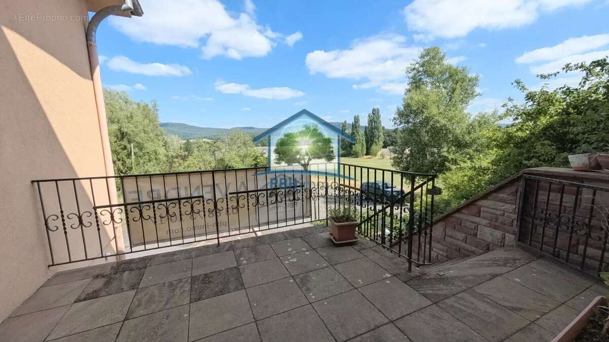 INGWILLER (67) - Maison 334m² avec Cave, Cour et Jardin sur 95 ares - photo 4