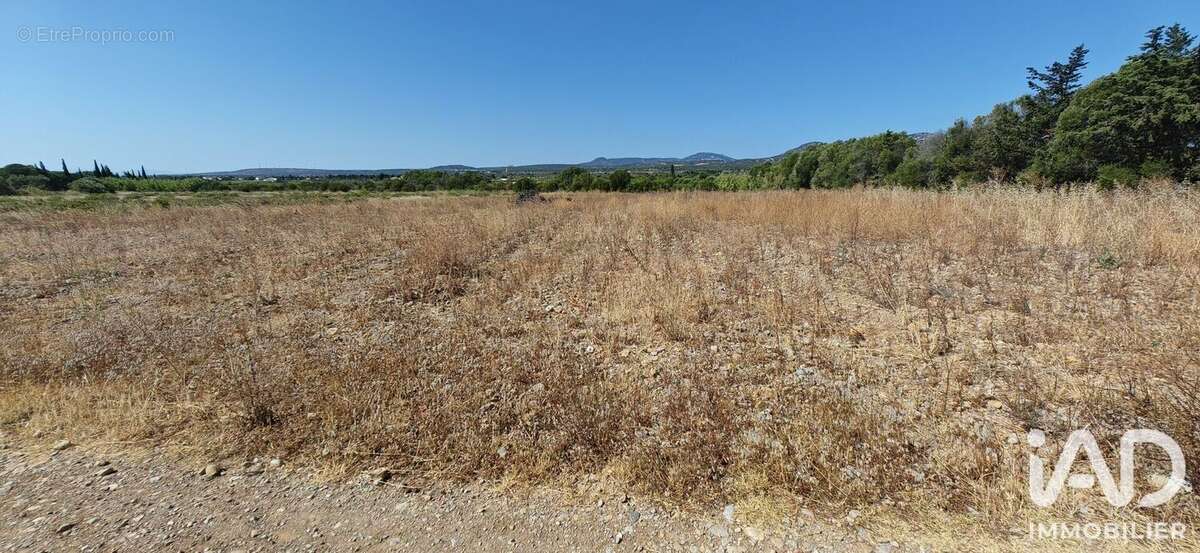 Terrain 595 m² à La Palme  - photo 3