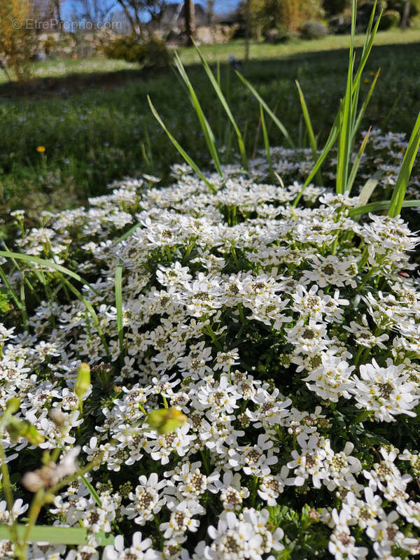 Maison à LA LOUBIERE