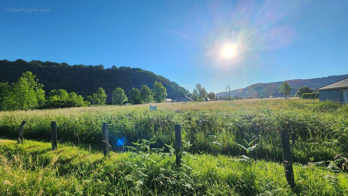 Terrain à MONTAUT