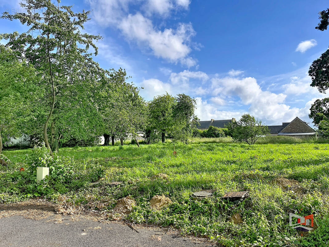 Terrain à CAVAN