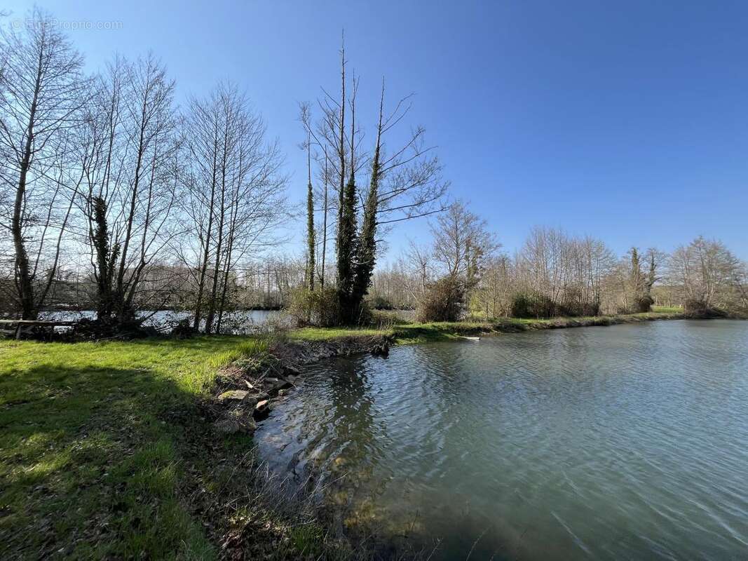 Terrain 18000 m² à Connerre  - photo 6