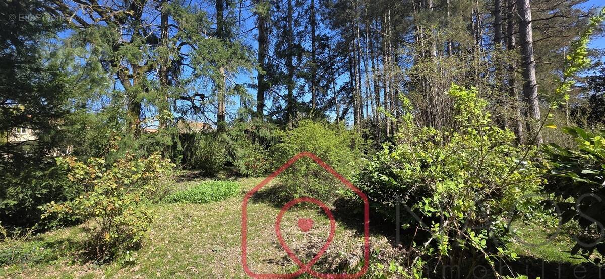 Terrain à MIGNALOUX-BEAUVOIR