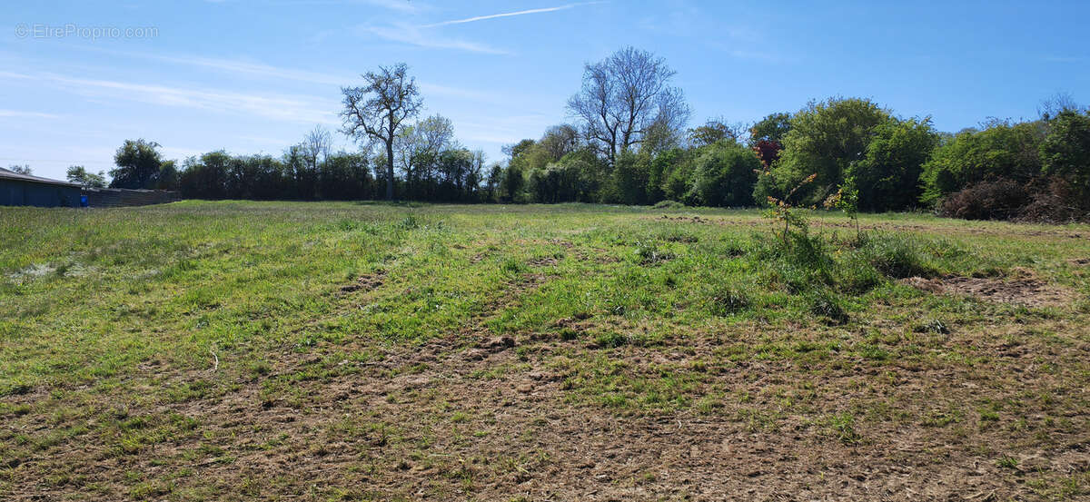 Exclusivité nouveau terrain à batir parfouru sur odon - photo 2