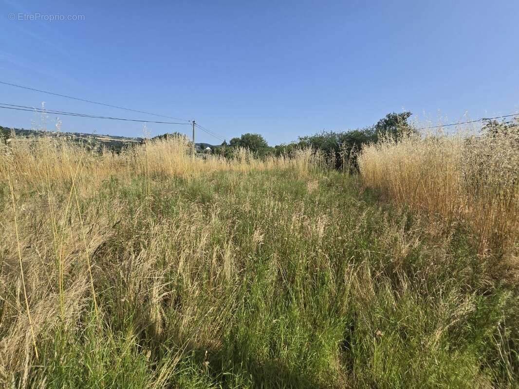 Sauveterre - batiment de 180m² - photo 4