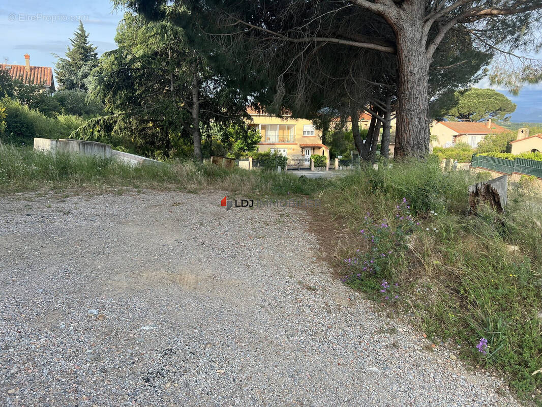 Terrain à BANYULS-DELS-ASPRES