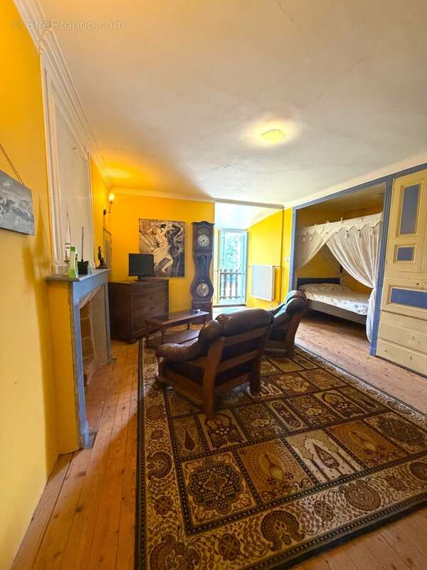 Propriete à vendre 8 pièces MONTEGUT (65) - photo 8