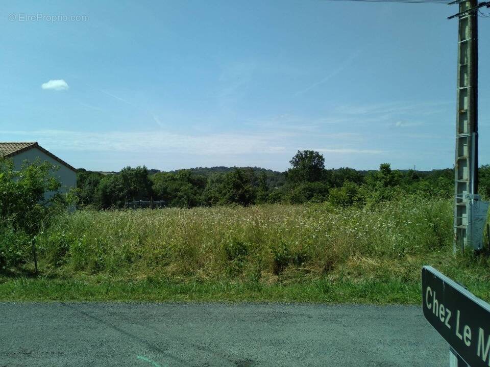 Terrain à ORIGNOLLES