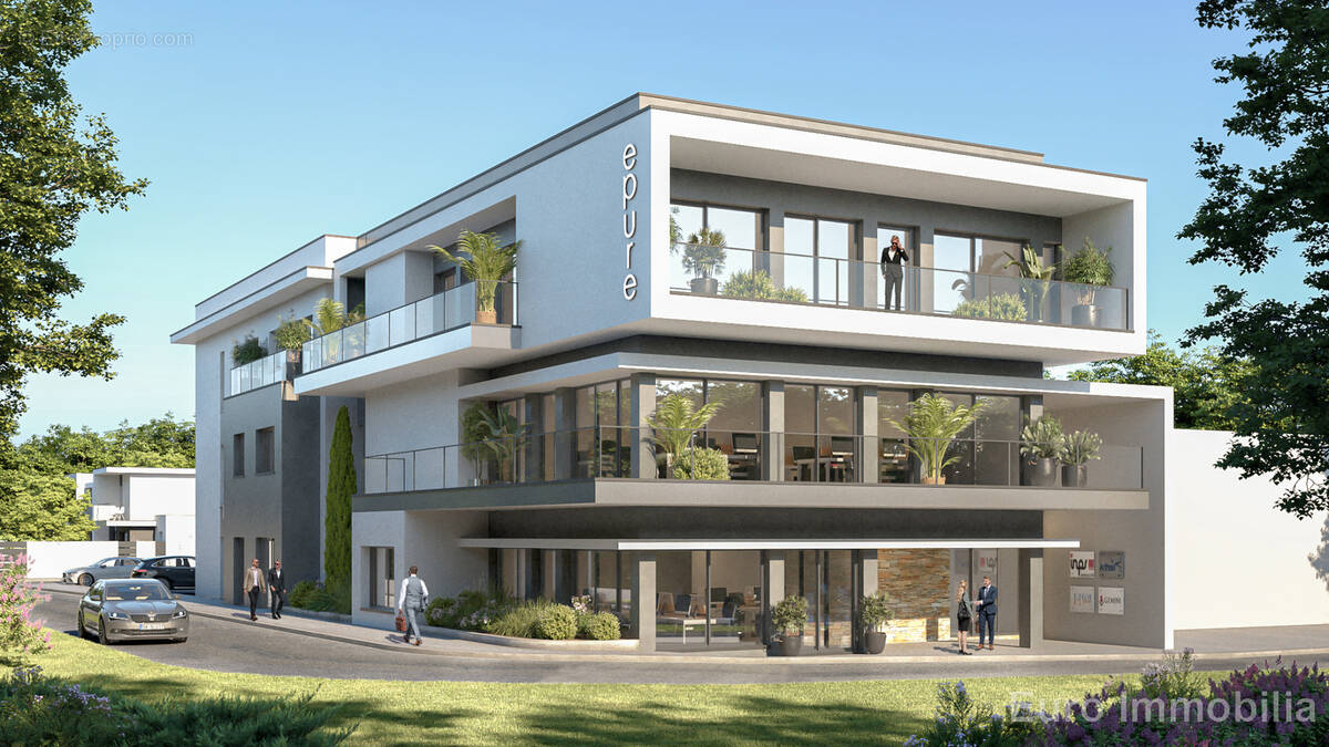 Commerce à PERPIGNAN