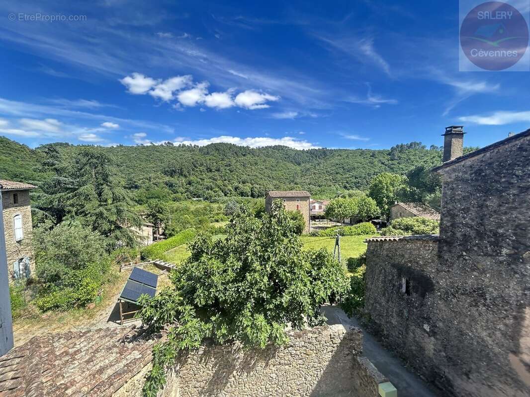 Charmante maison de village en pierre  Vue dégagée - photo 3