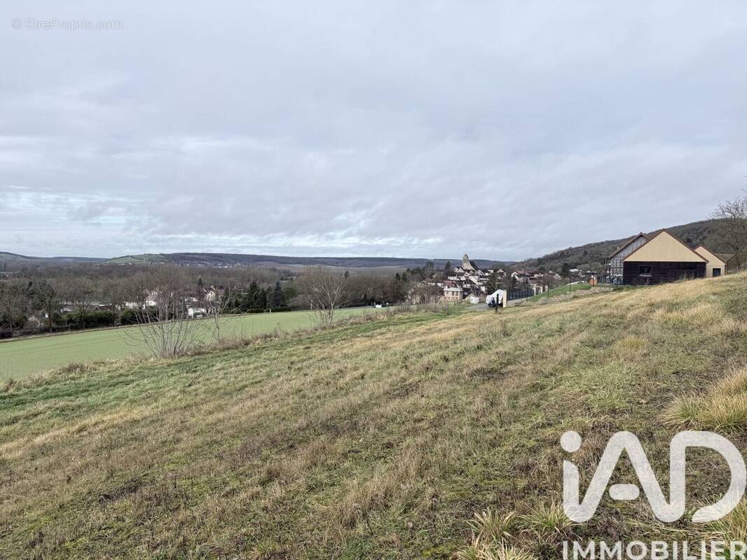 Photo 1 - Terrain à SAINT-AUBIN-SUR-YONNE