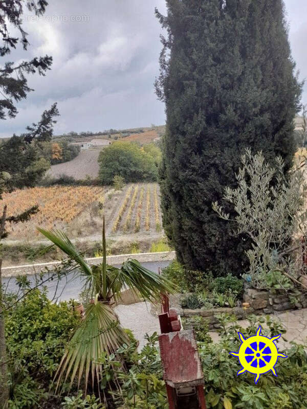 Maison à VILLENEUVE-LES-CORBIERES