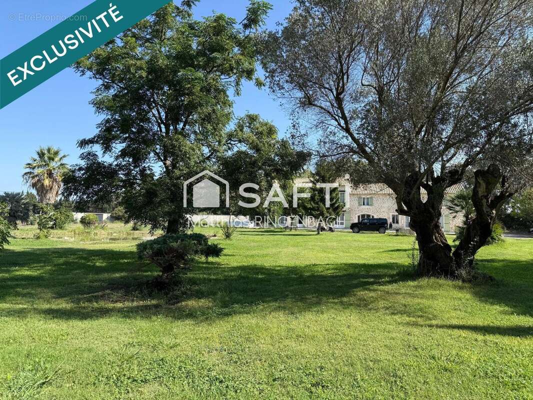 Photo 2 - Maison à AVIGNON