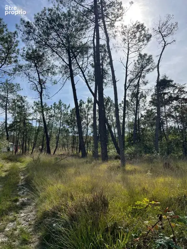 À vendre – argol – finistère – presqu’île de crozon-exceptionnel terrain de loisirs de 40 000 m² - photo 18