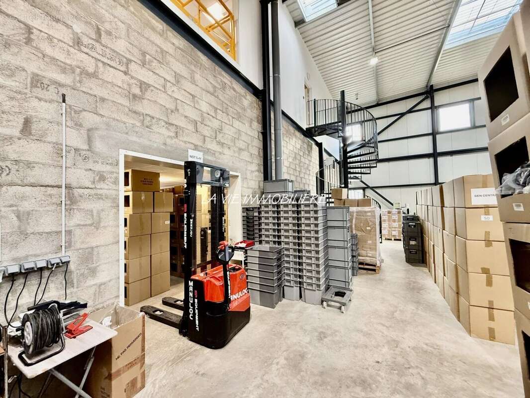 Commerce 1223 m² à Bailly-Romainvilliers  - photo 4