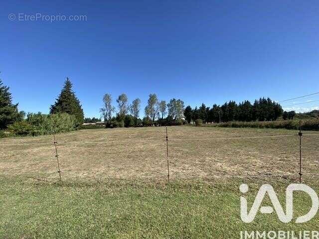 Photo 7 - Maison à COURTHEZON