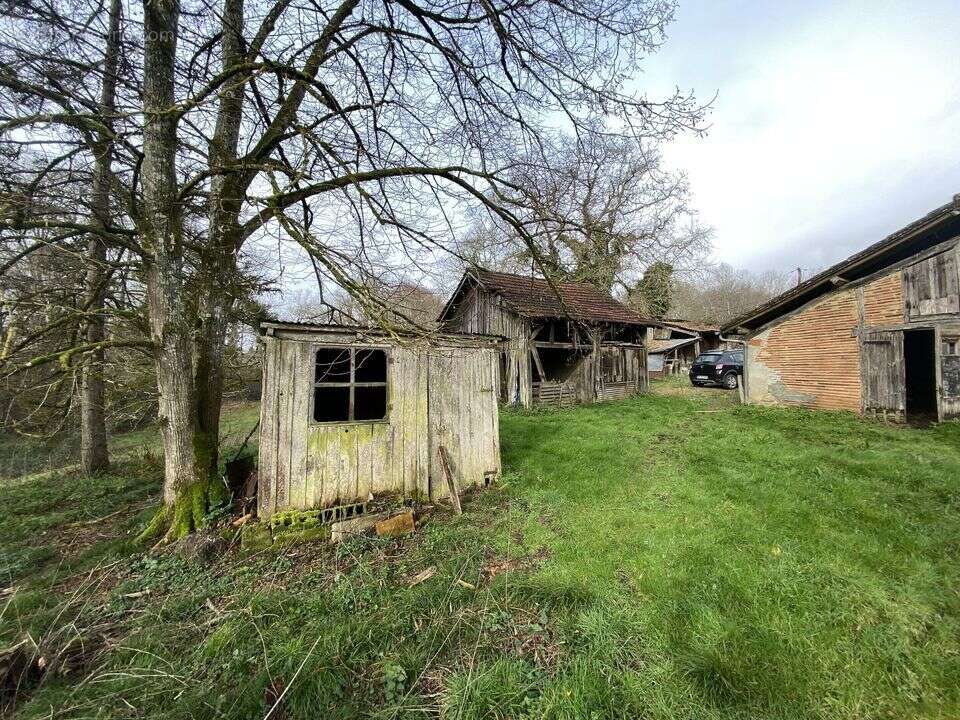 Maison à PARLEBOSCQ