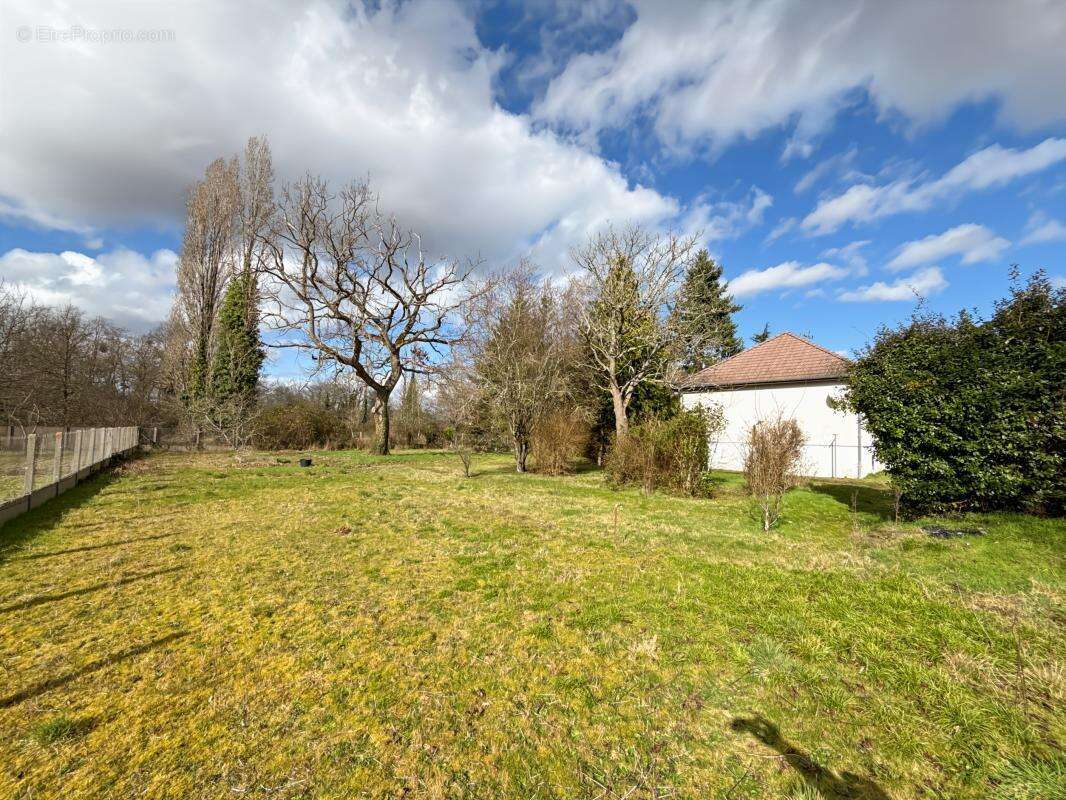  Exclusivité : Plain-pied sur sous-sol complet et grand terrain arboré  - photo 9