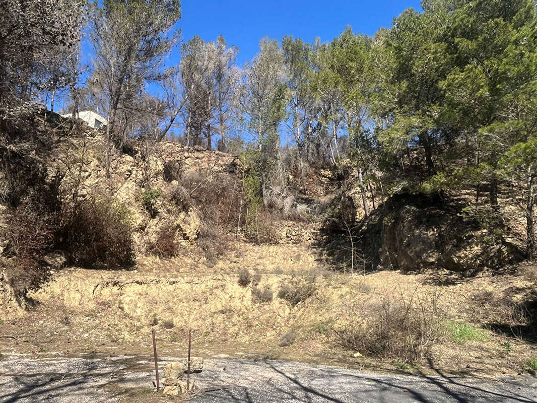 Terrain à VILLESEQUE-DES-CORBIERES