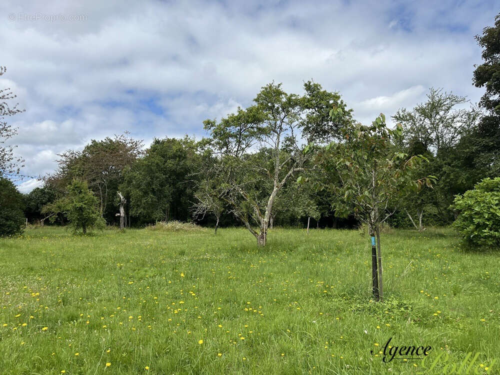 Maison à AUBIGNY-SUR-NERE