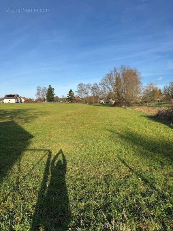 Maison à HERBITZHEIM