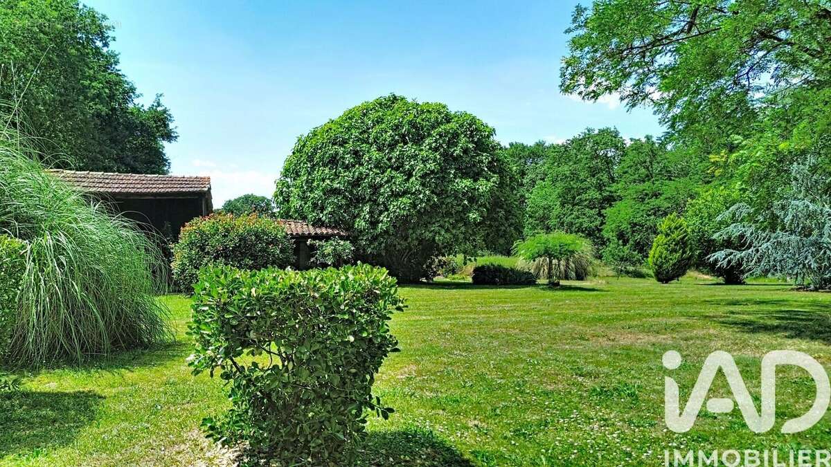 Photo 6 - Maison à VILLENEUVE-DE-MARSAN