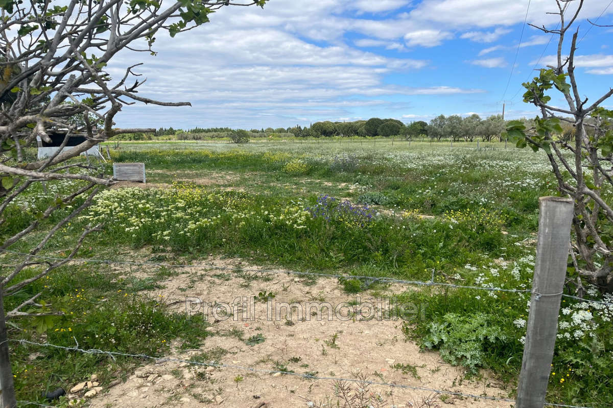 Terrain à MARSILLARGUES