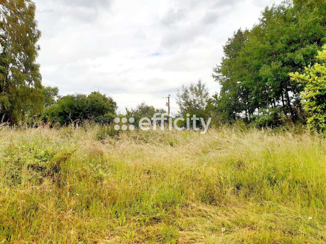 Maison à CHAMPROND-EN-GATINE