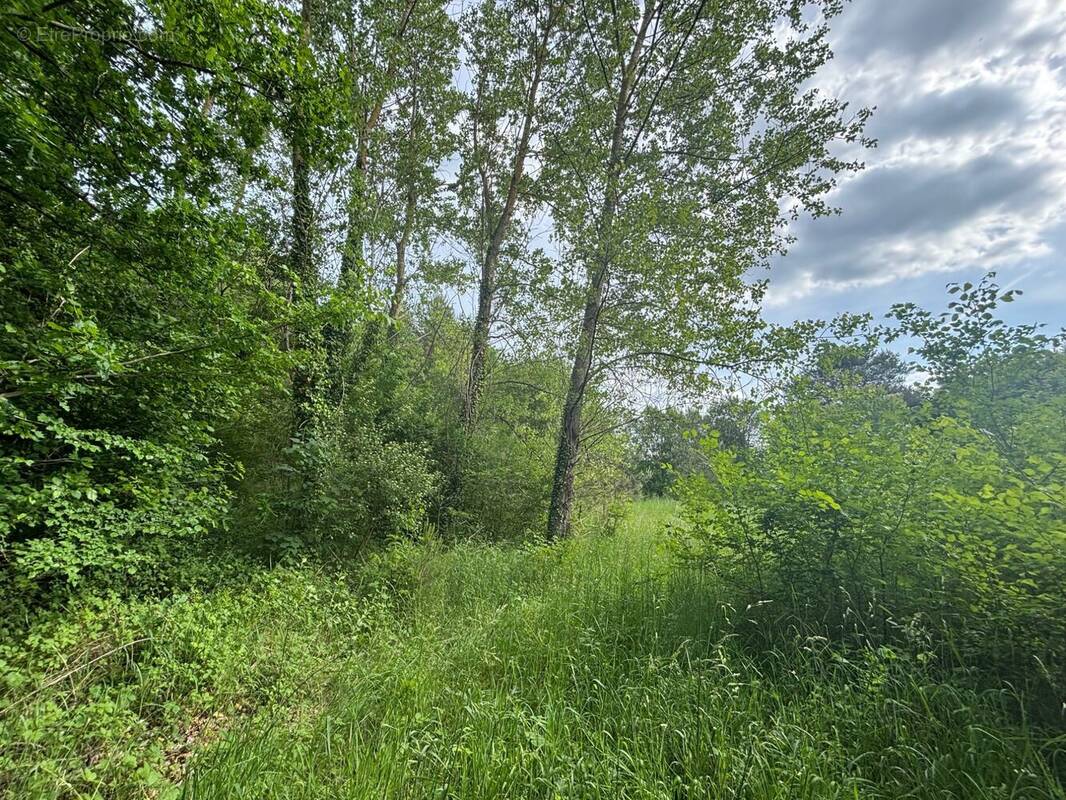 Terrain à NOISY-SUR-ECOLE