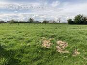 Terrain à BLAIRVILLE