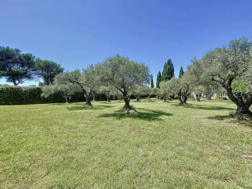 En exclusivité , un beau terrain constructible sur les hauteurs de Pernes-les-Fontaines - photo 3