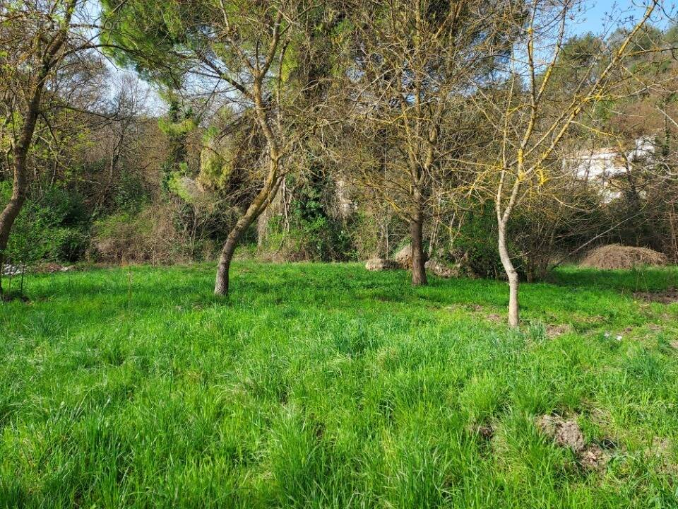 Terrain à SOLLIES-TOUCAS
