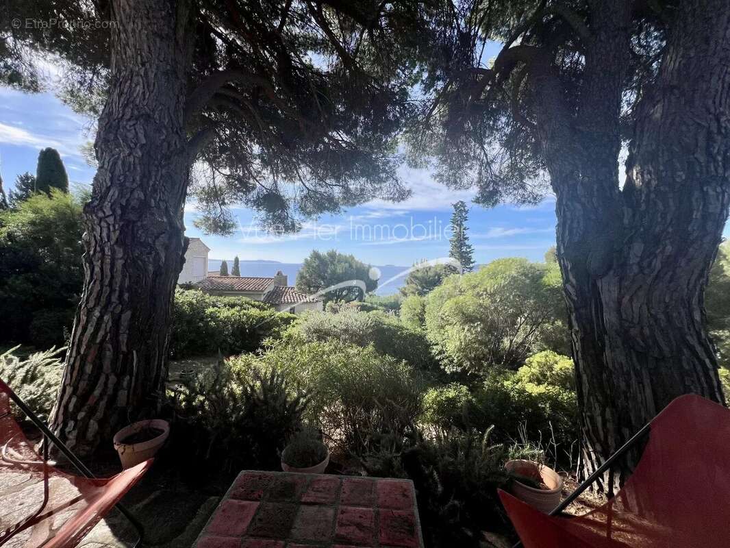Maison à LE LAVANDOU