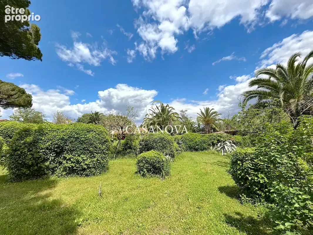 Aux portes de PEZENAS, maison de caractère sur un superbe terrain CONSTRUCTIBLE et DIVISIBLE de 3300 m². A 25 mn du bord de MER, - photo 12