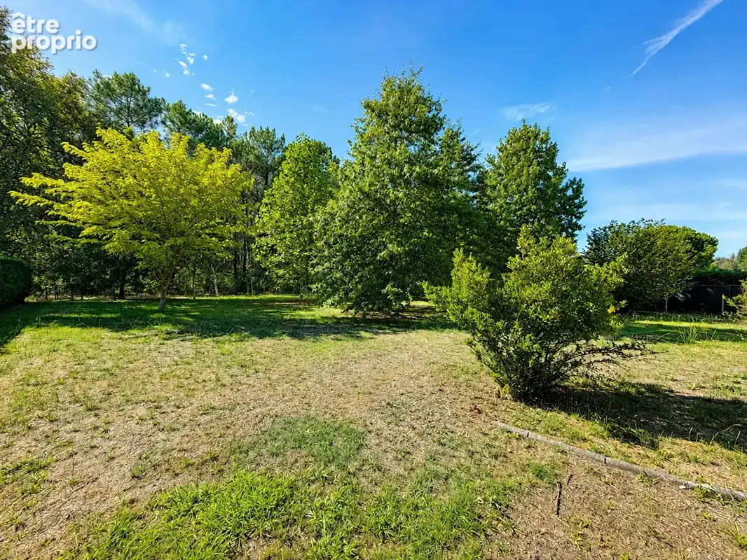 Maison 3 chambres - Quartier Mora - 2 200m2 de jardin - photo 14