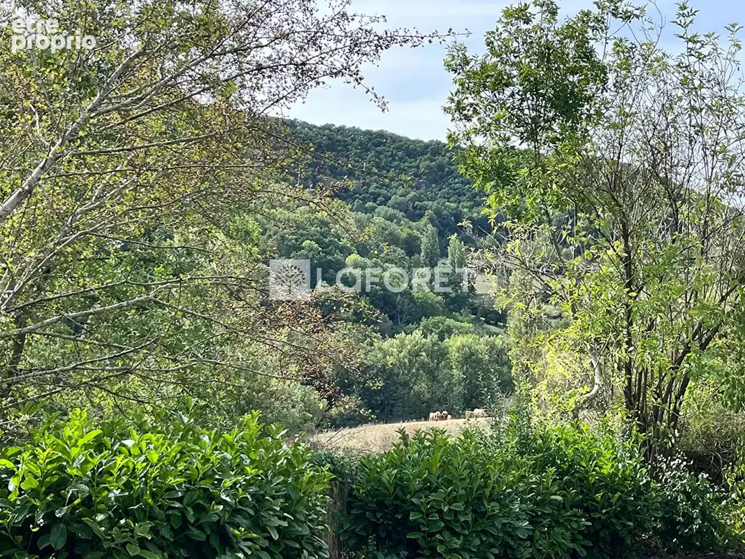 Salles-la-source - le petit paradis - photo 13