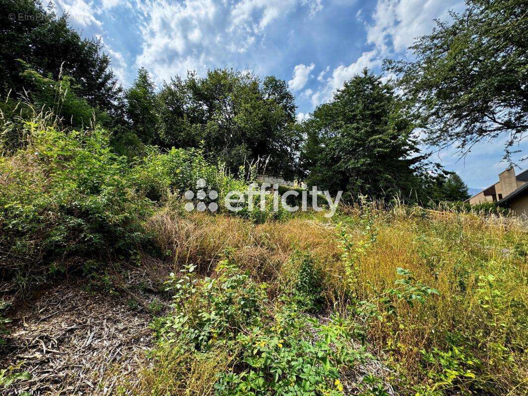 Terrain 572 m² à Laye  - photo 3
