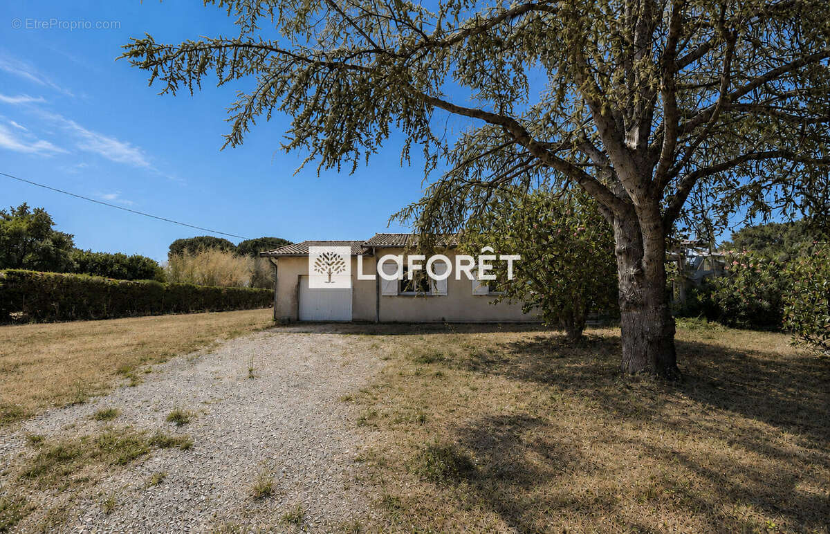 Au calme, maison de plain-pied de 100 m² à vendre à Montans - photo 2