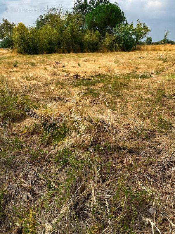 Terrain viabilisé divisible et constructible avec permis accordé1553 m2 vue sur les Pyrénées-89 000€ FAI - photo 6