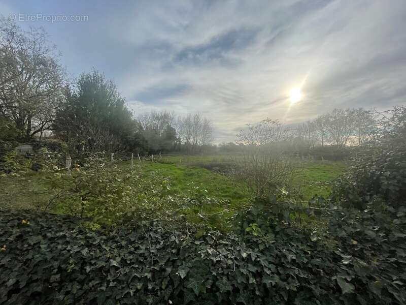 Terrain à SAINTE-RADEGONDE-DES-NOYERS