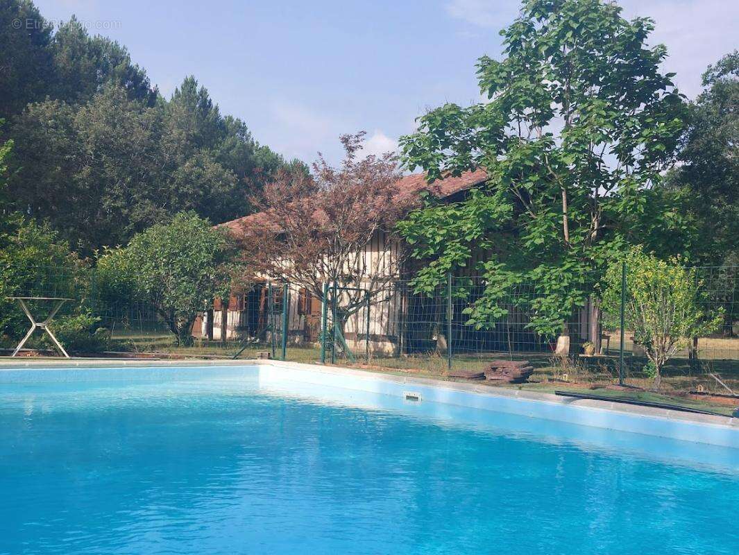 Maison Landaise entre pins et Océan - photo 4