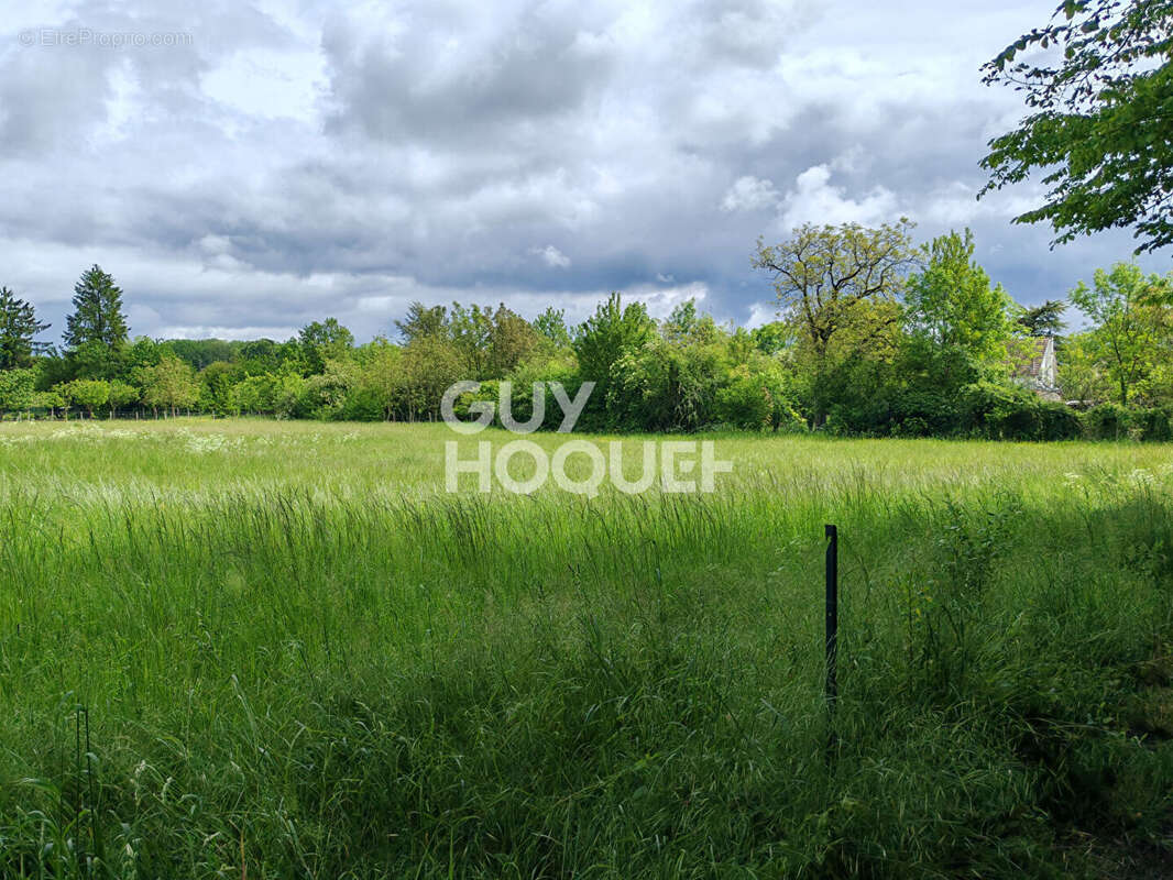 Magnifique terrain - photo 2