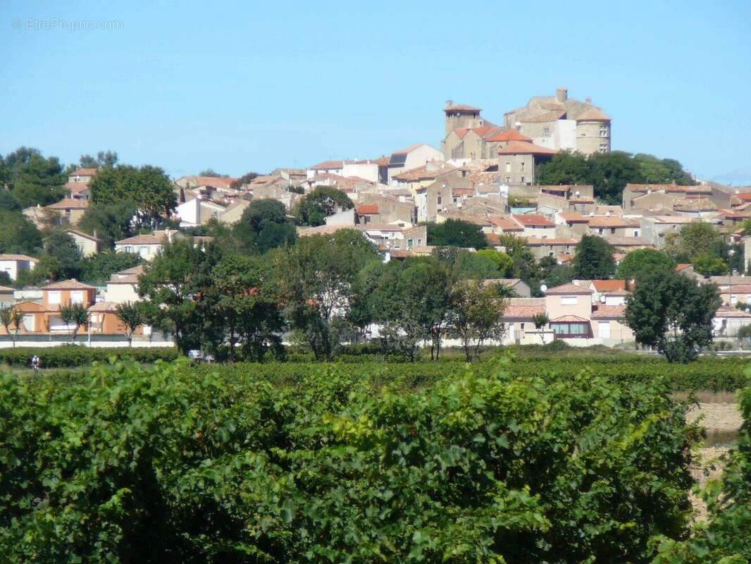 Photo 6 - Maison à ESPONDEILHAN