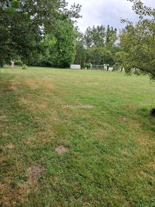 Terrain à BISCARROSSE