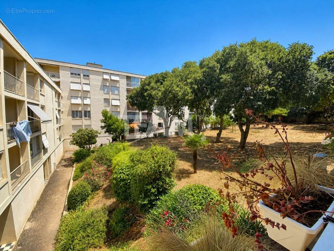Appartement à SETE