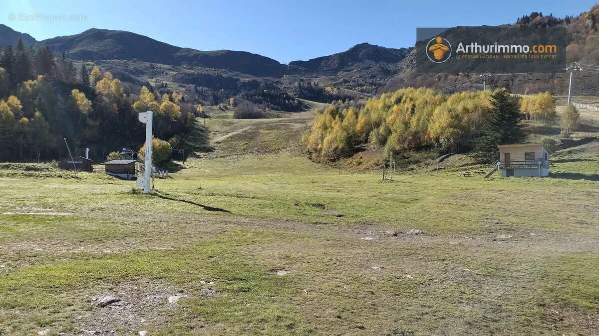 Commerce à MONTFERRIER