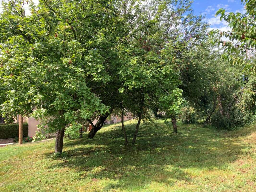 Photo 6 - Terrain à BELMONT-DE-LA-LOIRE